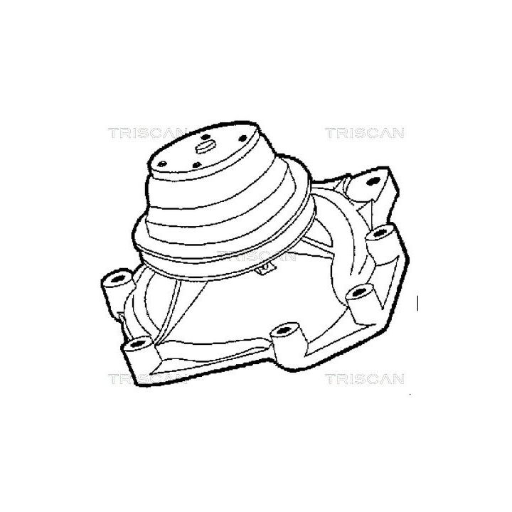 Vandens siurblys, variklio aušinimas TRISCAN 8600 17001