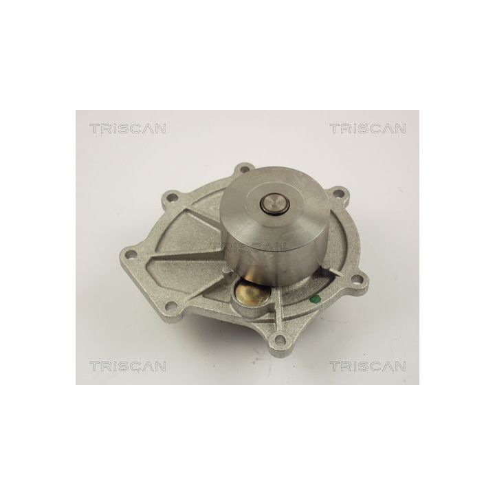 Vandens siurblys, variklio aušinimas TRISCAN 8600 17009