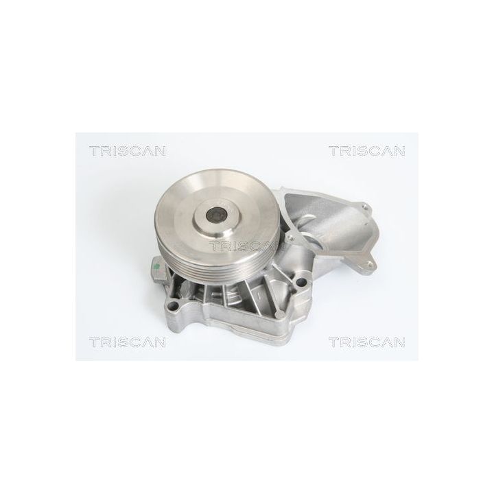 Vandens siurblys, variklio aušinimas TRISCAN 8600 17010