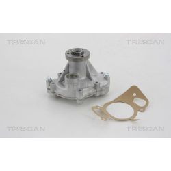 Vandens siurblys, variklio aušinimas TRISCAN 8600 17012