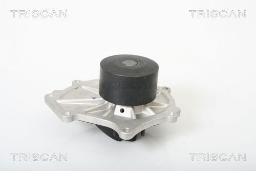 Vandens siurblys, variklio aušinimas TRISCAN 8600 18002