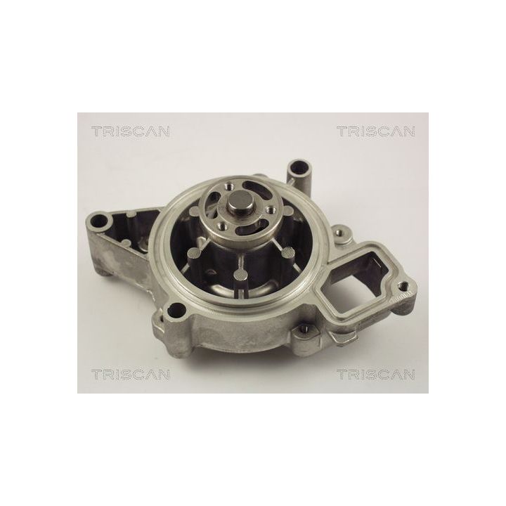 Vandens siurblys, variklio aušinimas TRISCAN 8600 24015