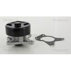 Vandens siurblys, variklio aušinimas TRISCAN 8600 25092