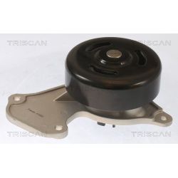 Vandens siurblys, variklio aušinimas TRISCAN 8600 25095