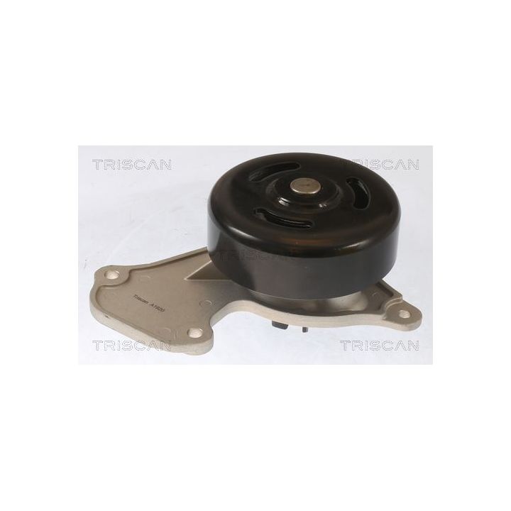 Vandens siurblys, variklio aušinimas TRISCAN 8600 25095