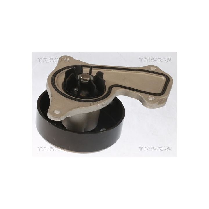 Vandens siurblys, variklio aušinimas TRISCAN 8600 25095