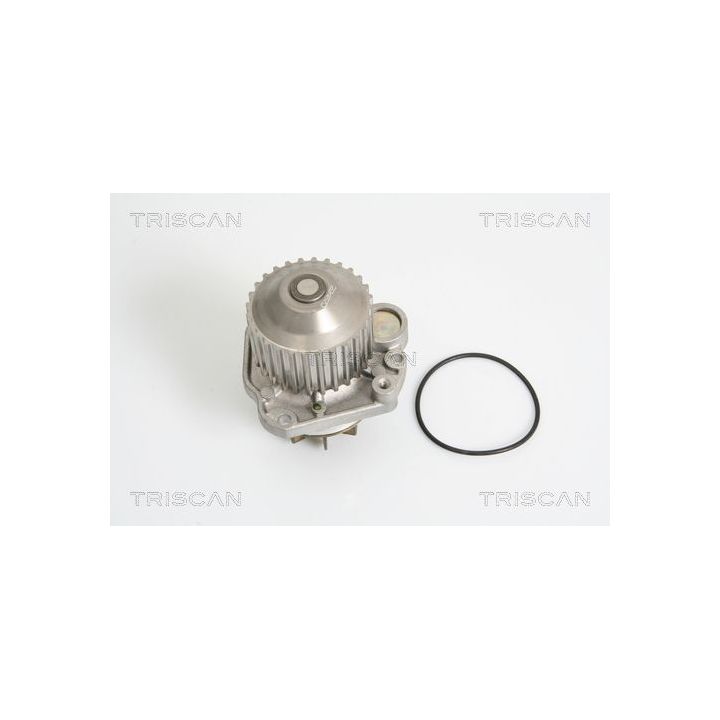 Vandens siurblys, variklio aušinimas TRISCAN 8600 38002