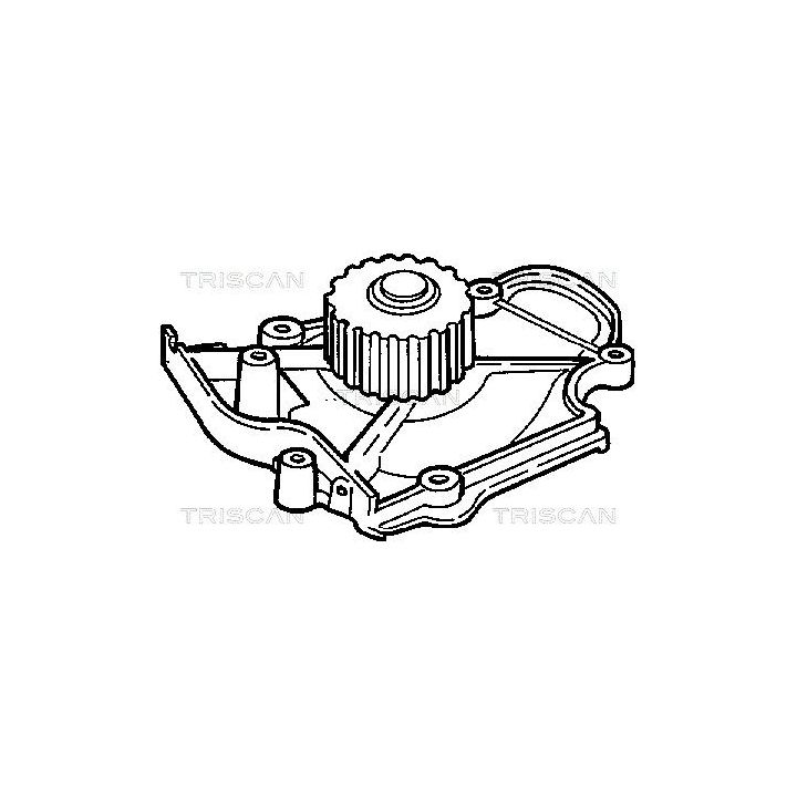 Vandens siurblys, variklio aušinimas TRISCAN 8600 40979