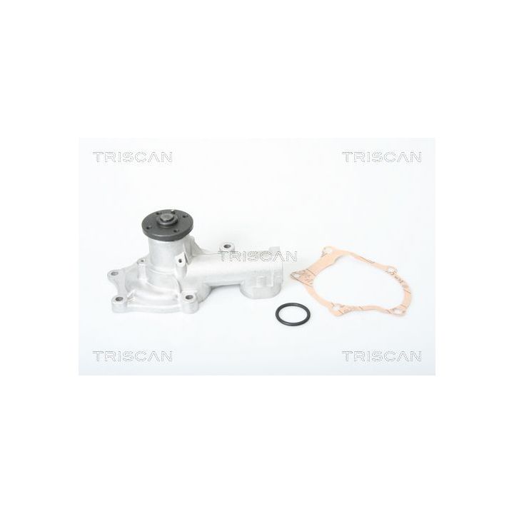 Vandens siurblys, variklio aušinimas TRISCAN 8600 42002