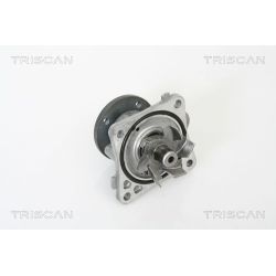 Vandens siurblys, variklio aušinimas TRISCAN 8600 42016