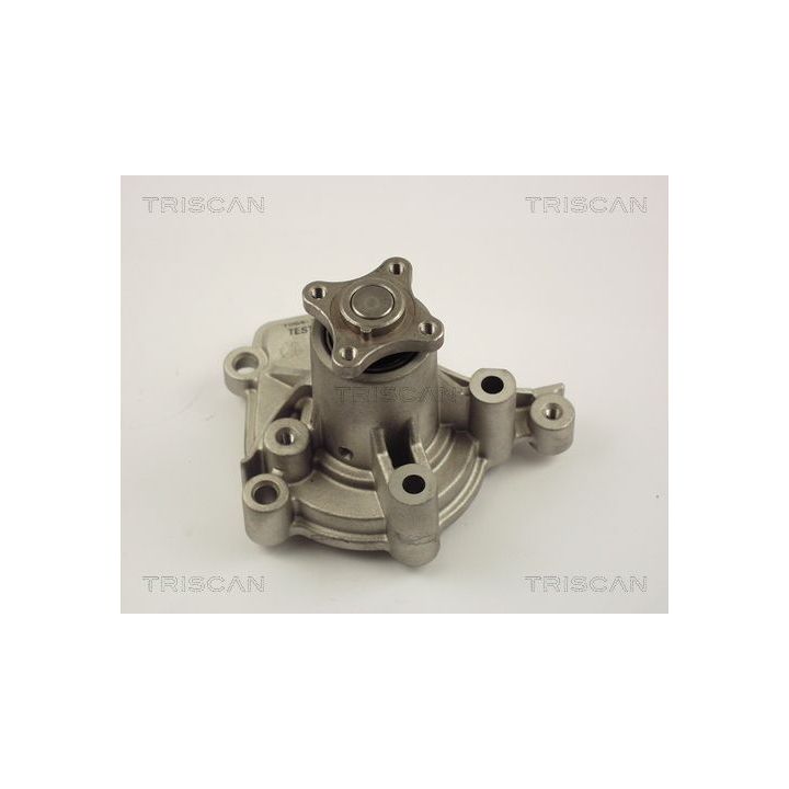 Vandens siurblys, variklio aušinimas TRISCAN 8600 43005