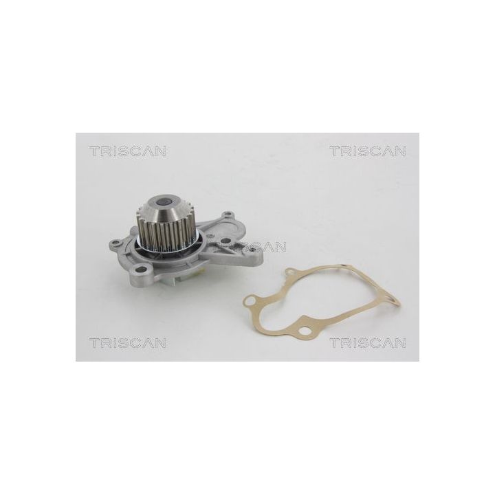 Vandens siurblys, variklio aušinimas TRISCAN 8600 43011