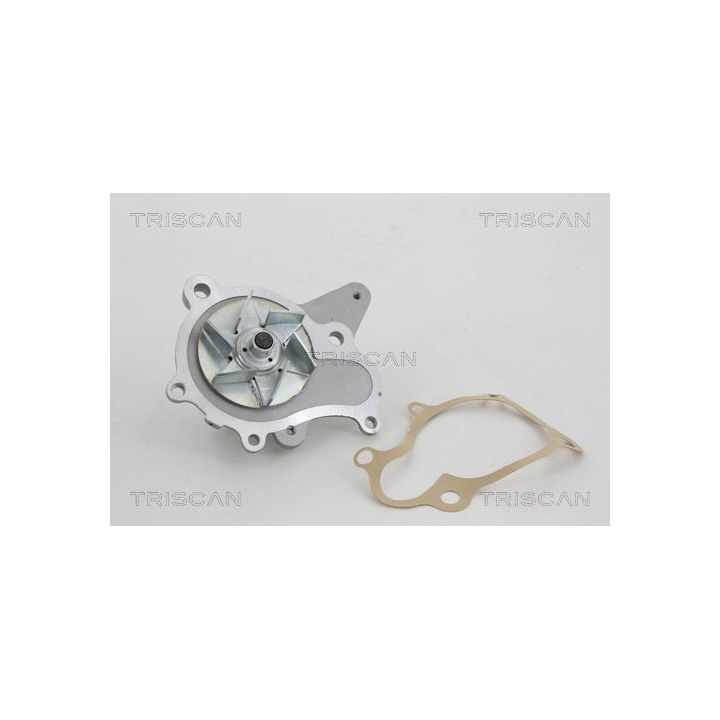 Vandens siurblys, variklio aušinimas TRISCAN 8600 43011