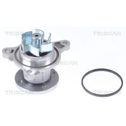 Vandens siurblys, variklio aušinimas TRISCAN 8600 43022