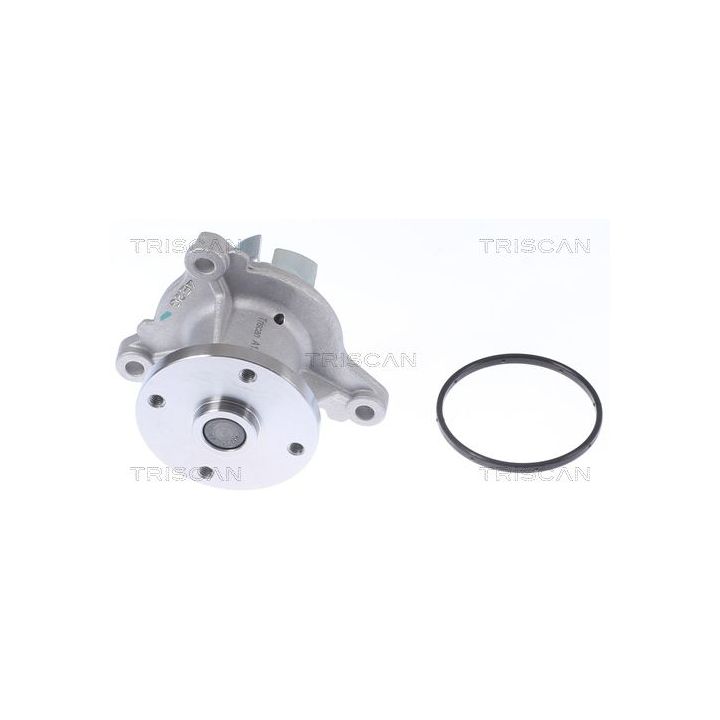 Vandens siurblys, variklio aušinimas TRISCAN 8600 43022