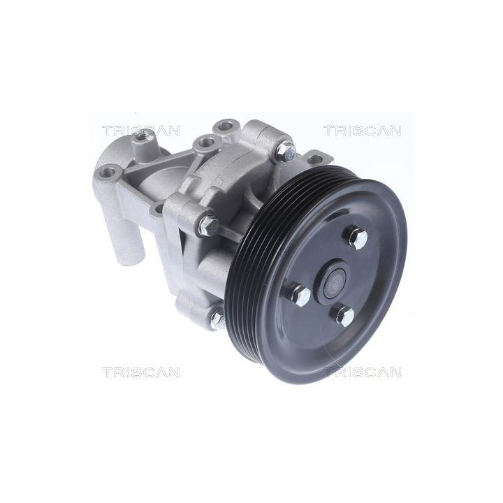 Vandens siurblys, variklio aušinimas TRISCAN 8600 43023