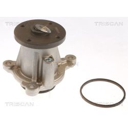 Vandens siurblys, variklio aušinimas TRISCAN 8600 43026