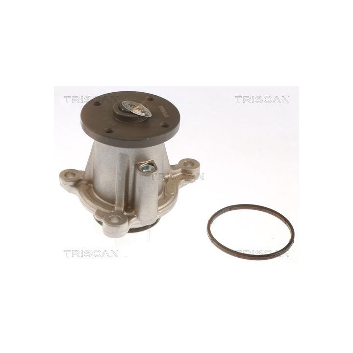 Vandens siurblys, variklio aušinimas TRISCAN 8600 43026