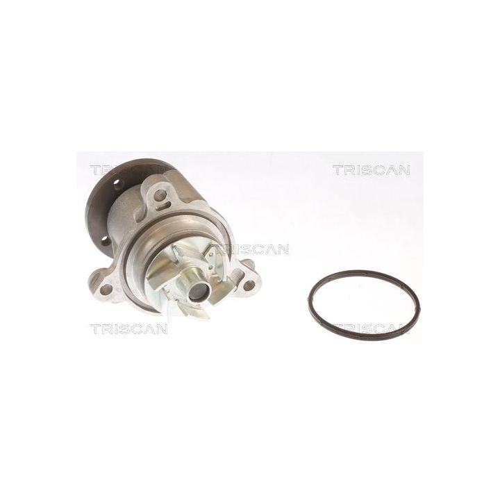 Vandens siurblys, variklio aušinimas TRISCAN 8600 43026