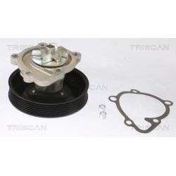 Vandens siurblys, variklio aušinimas TRISCAN 8600 43028