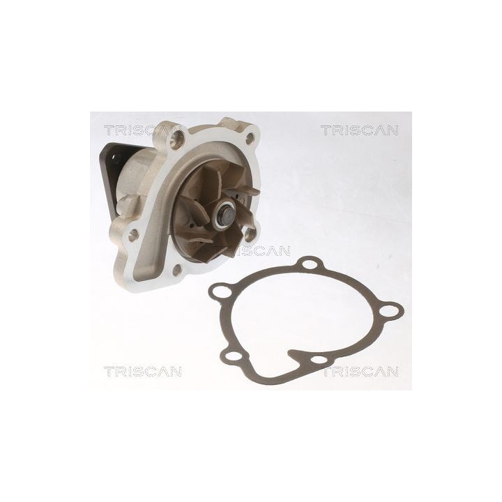 Vandens siurblys, variklio aušinimas TRISCAN 8600 43029