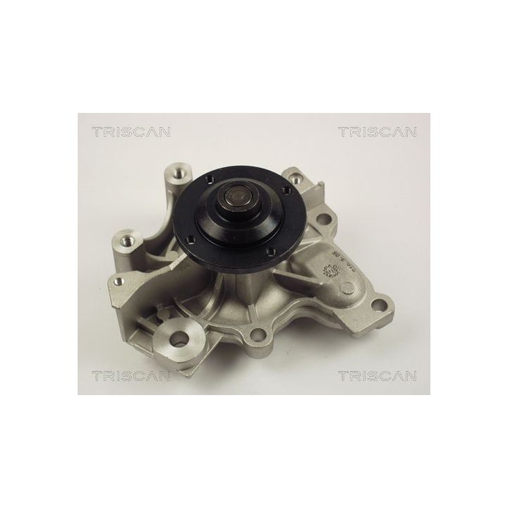 Vandens siurblys, variklio aušinimas TRISCAN 8600 50002