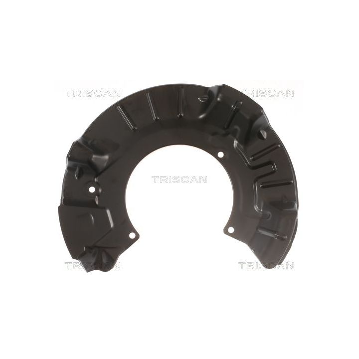 Apsauginis skydas, stabdžių diskas TRISCAN 8125 11101