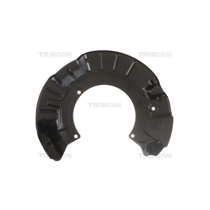 Apsauginis skydas, stabdžių diskas TRISCAN 8125 11101