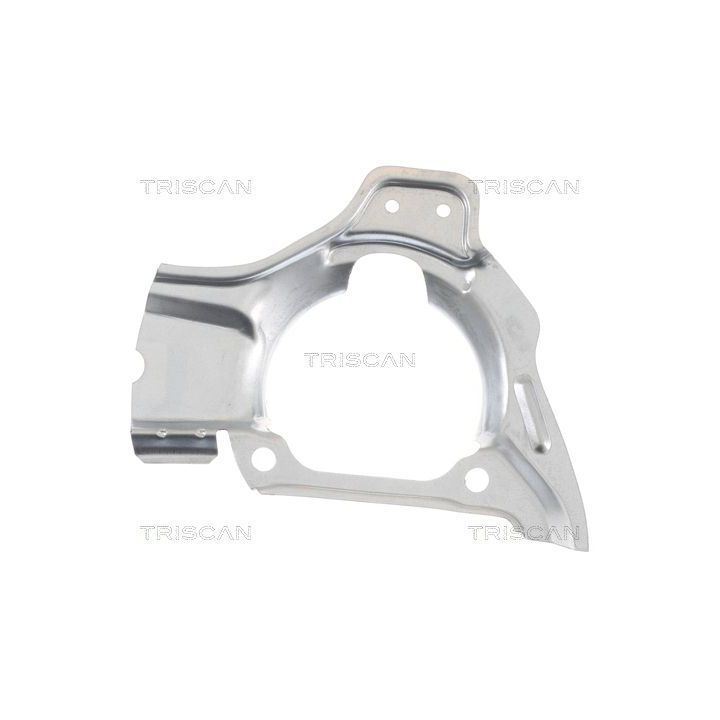 Apsauginis skydas, stabdžių diskas TRISCAN 8125 15101