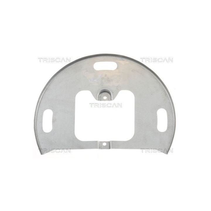 Apsauginis skydas, stabdžių diskas TRISCAN 8125 15108