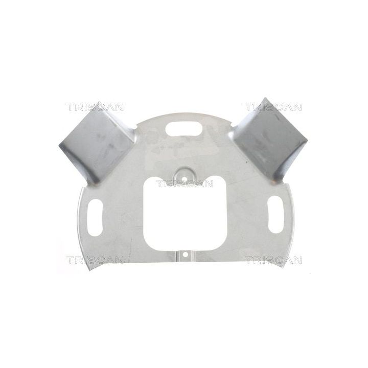 Apsauginis skydas, stabdžių diskas TRISCAN 8125 15110