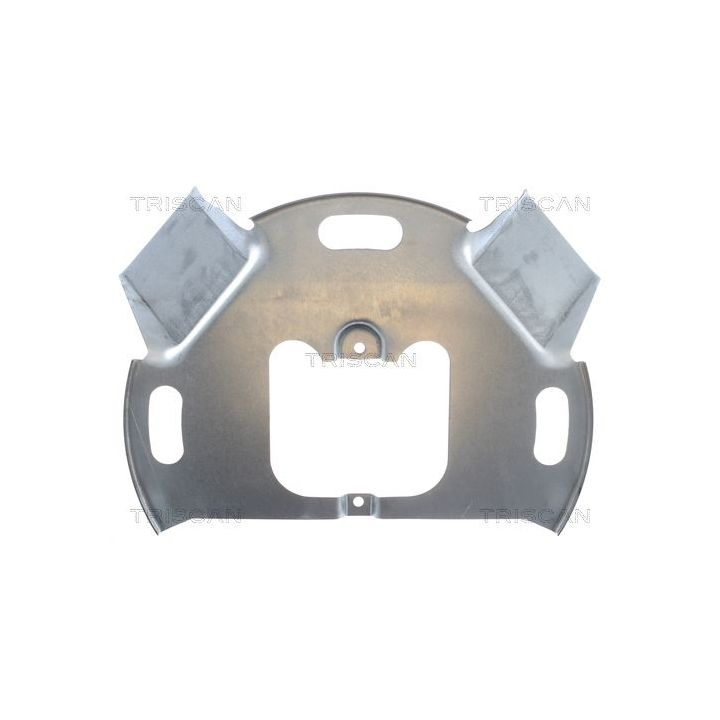 Apsauginis skydas, stabdžių diskas TRISCAN 8125 15110