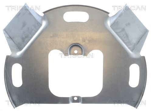 Apsauginis skydas, stabdžių diskas TRISCAN 8125 15110