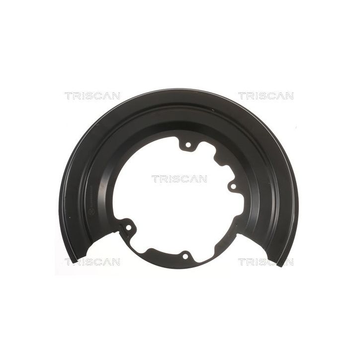 Apsauginis skydas, stabdžių diskas TRISCAN 8125 15205
