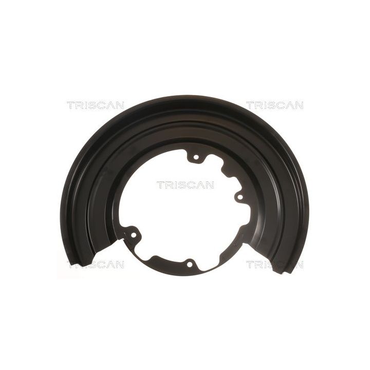 Apsauginis skydas, stabdžių diskas TRISCAN 8125 15206