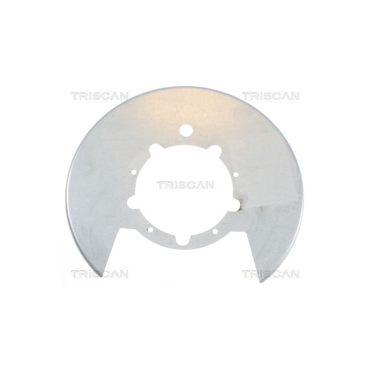 Apsauginis skydas, stabdžių diskas TRISCAN 8125 15207