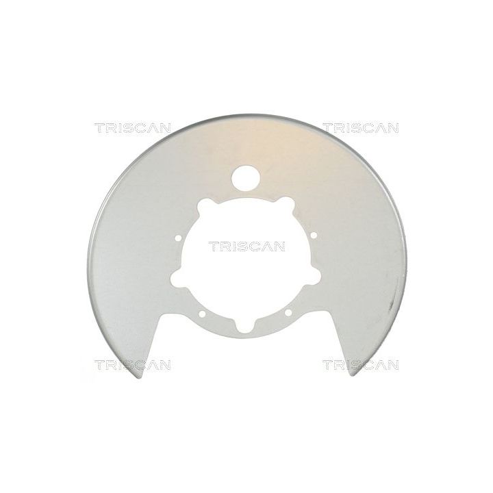 Apsauginis skydas, stabdžių diskas TRISCAN 8125 15208