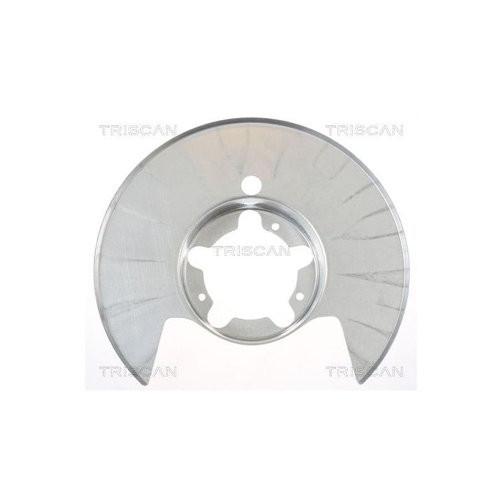 Apsauginis skydas, stabdžių diskas TRISCAN 8125 15209