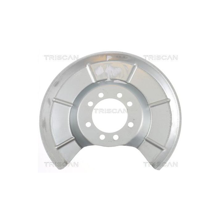 Apsauginis skydas, stabdžių diskas TRISCAN 8125 16203