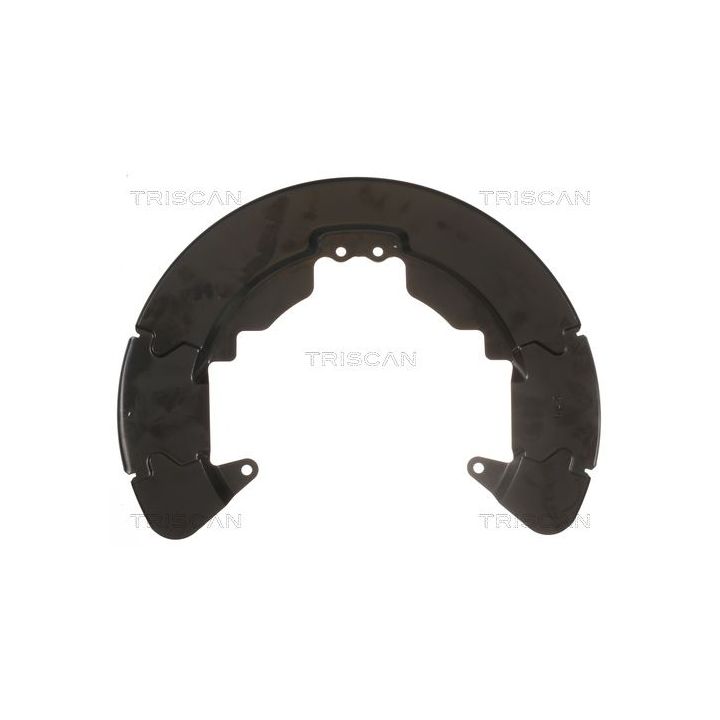 Apsauginis skydas, stabdžių diskas TRISCAN 8125 16204