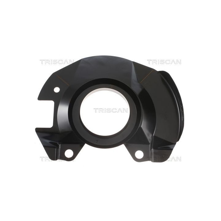 Apsauginis skydas, stabdžių diskas TRISCAN 8125 18108