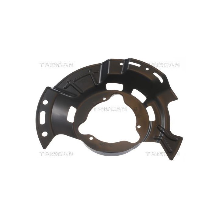 Apsauginis skydas, stabdžių diskas TRISCAN 8125 18111