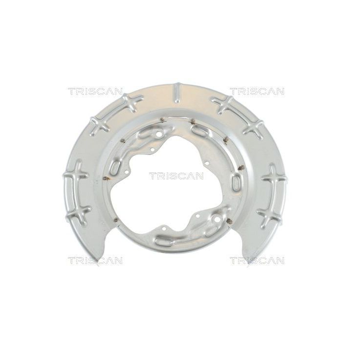 Apsauginis skydas, stabdžių diskas TRISCAN 8125 18205