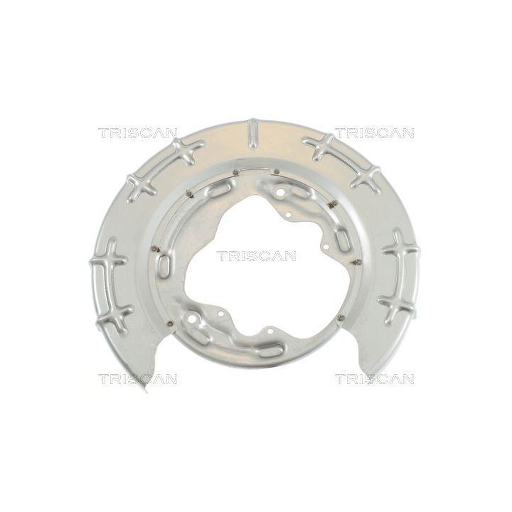 Apsauginis skydas, stabdžių diskas TRISCAN 8125 18206