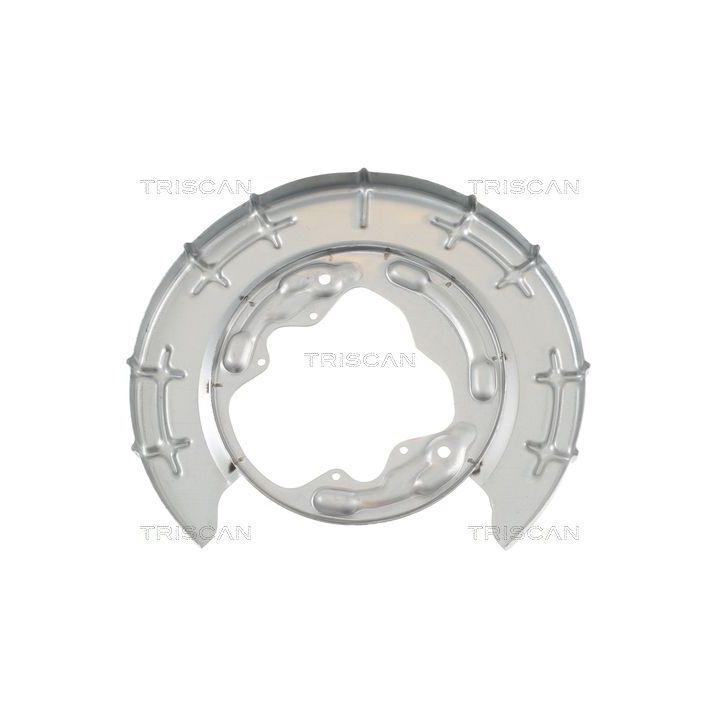 Apsauginis skydas, stabdžių diskas TRISCAN 8125 18206