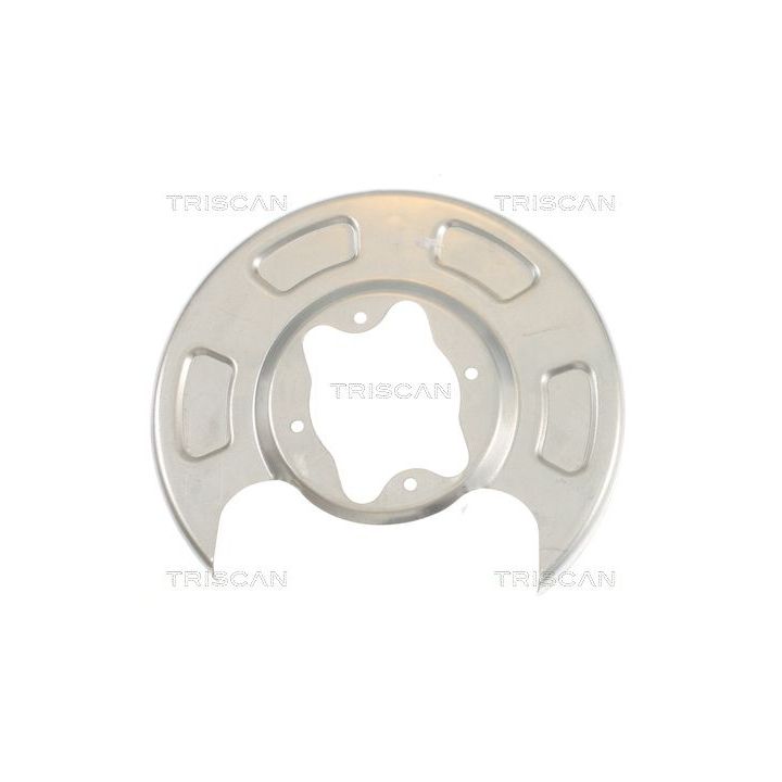 Apsauginis skydas, stabdžių diskas TRISCAN 8125 18207
