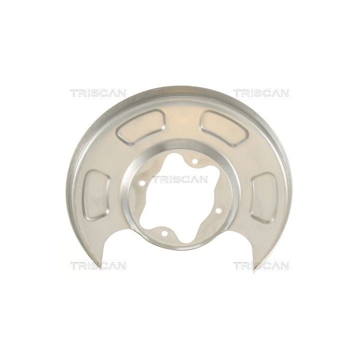 Apsauginis skydas, stabdžių diskas TRISCAN 8125 18207