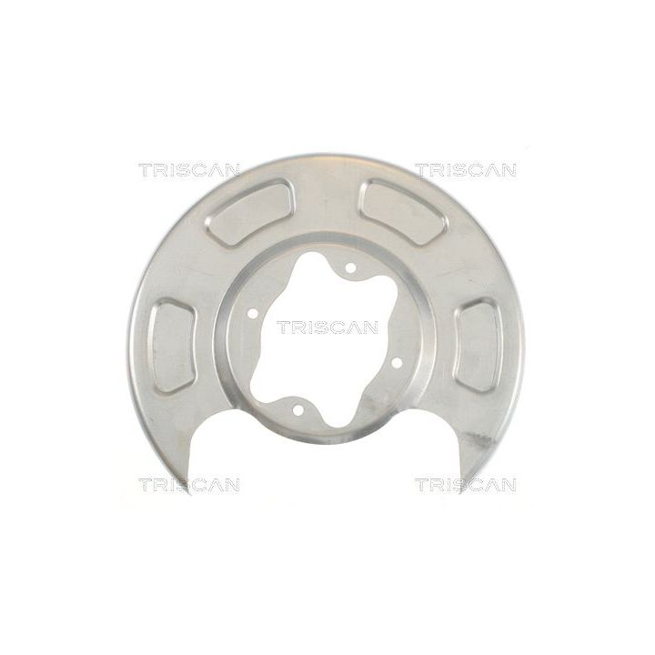 Apsauginis skydas, stabdžių diskas TRISCAN 8125 18208