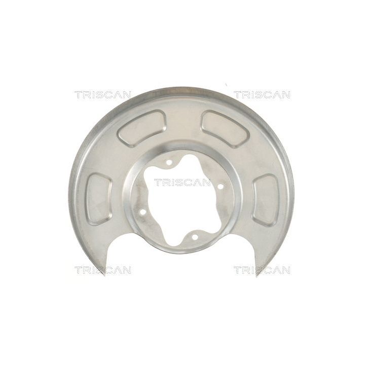 Apsauginis skydas, stabdžių diskas TRISCAN 8125 18208