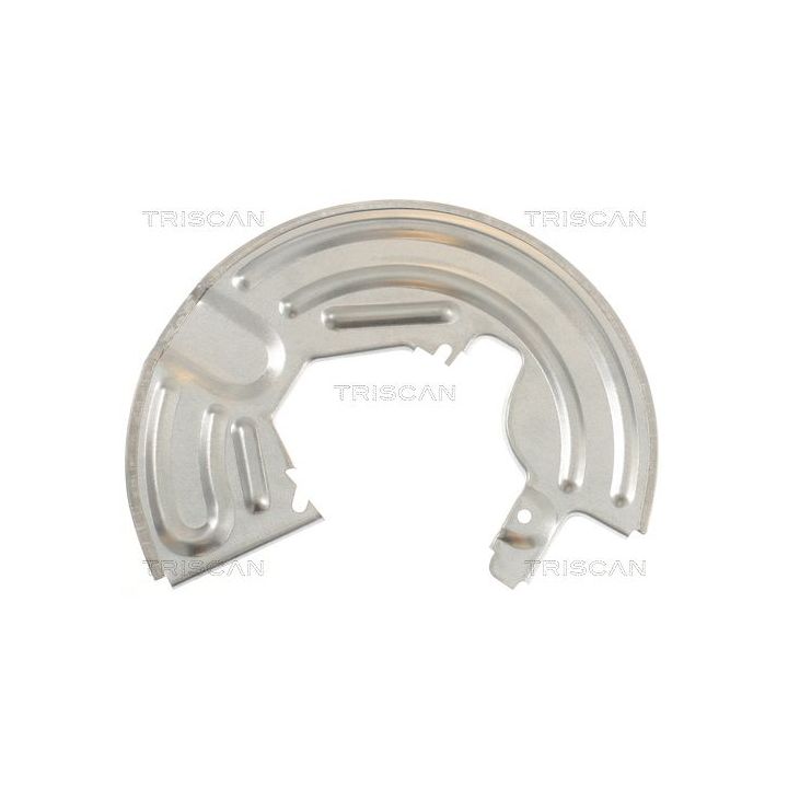 Apsauginis skydas, stabdžių diskas TRISCAN 8125 25104